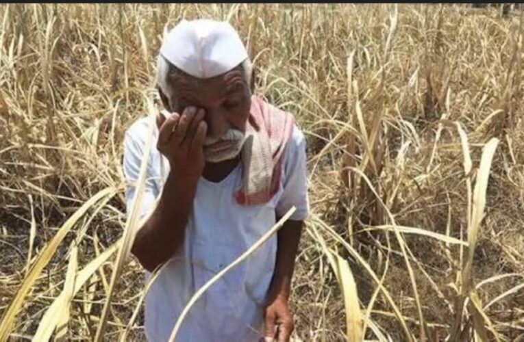 महाराष्ट्र के मराठवाड़ा और विदर्भ क्षेत्रों में किसानों की आत्महत्याओं की संख्या चिंताजनक स्तर पर सरकार ने मदद का दिया आश्वासन